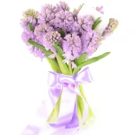 Гиацинты розовые